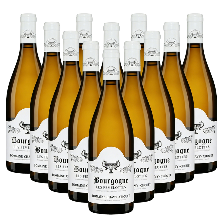 Domaine Chavy-Chouet Bourgogne Blanc Les Femelottes 2022 (Case of 12 bottles x 750ml)