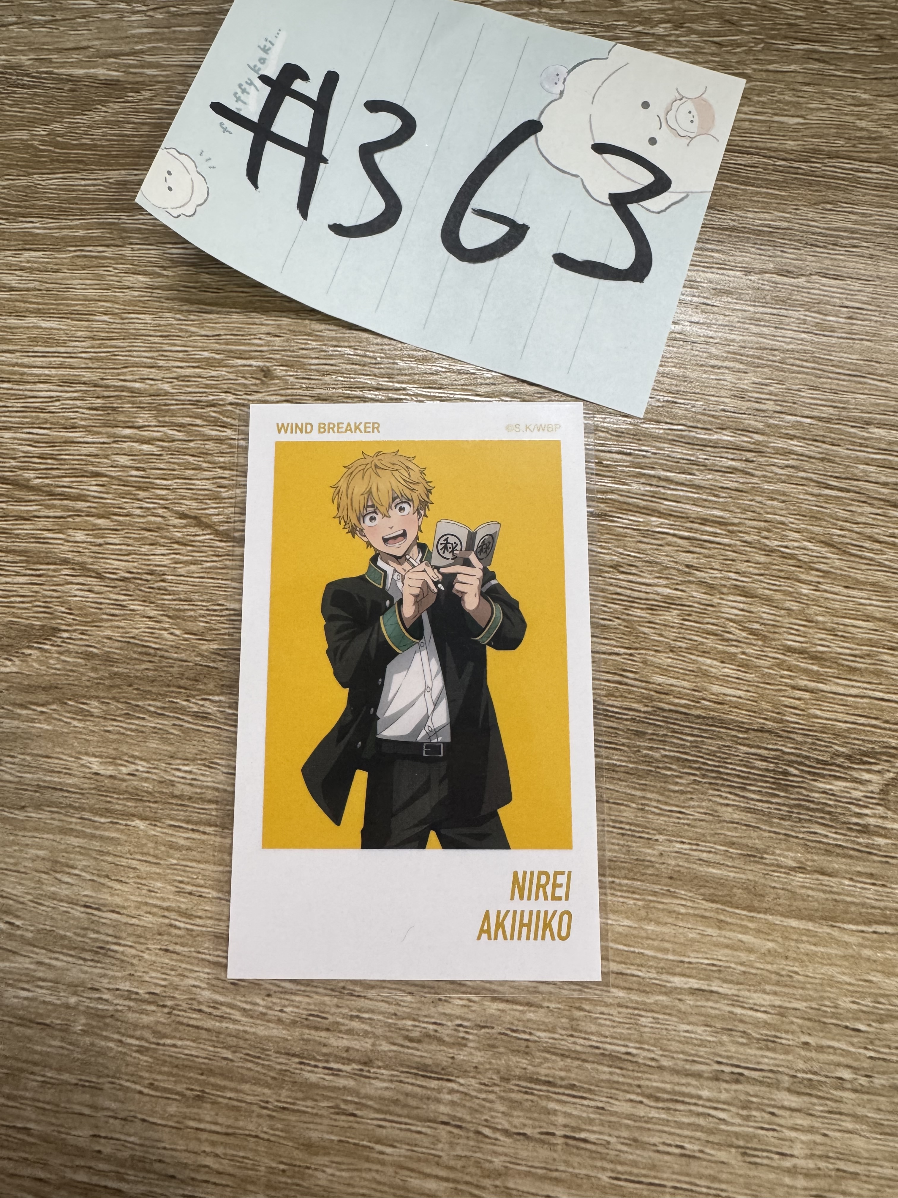 WIND BREAKER 榆井  拍立得#363
