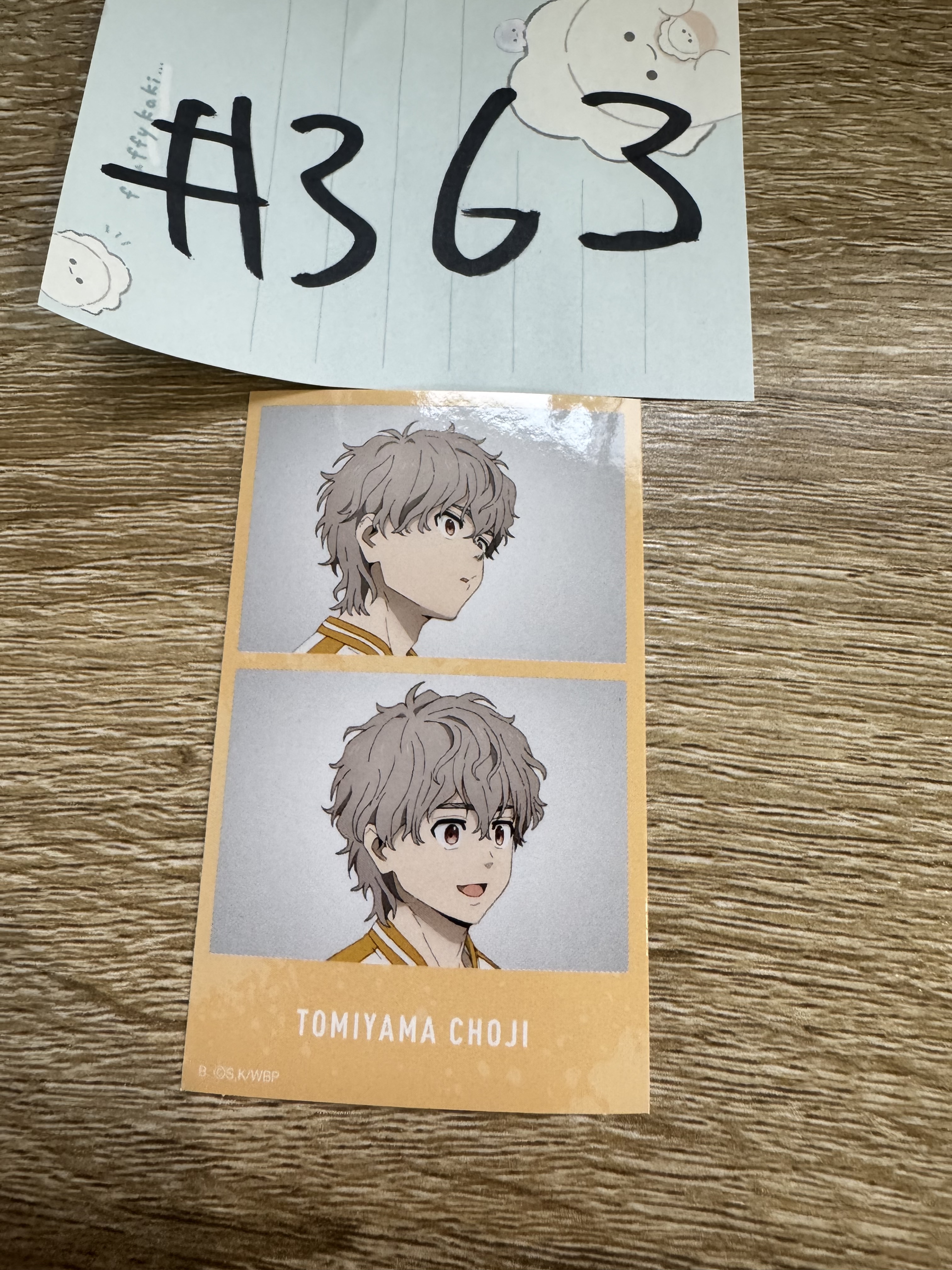 WIND BREAKER 兔耳山 貼紙#363