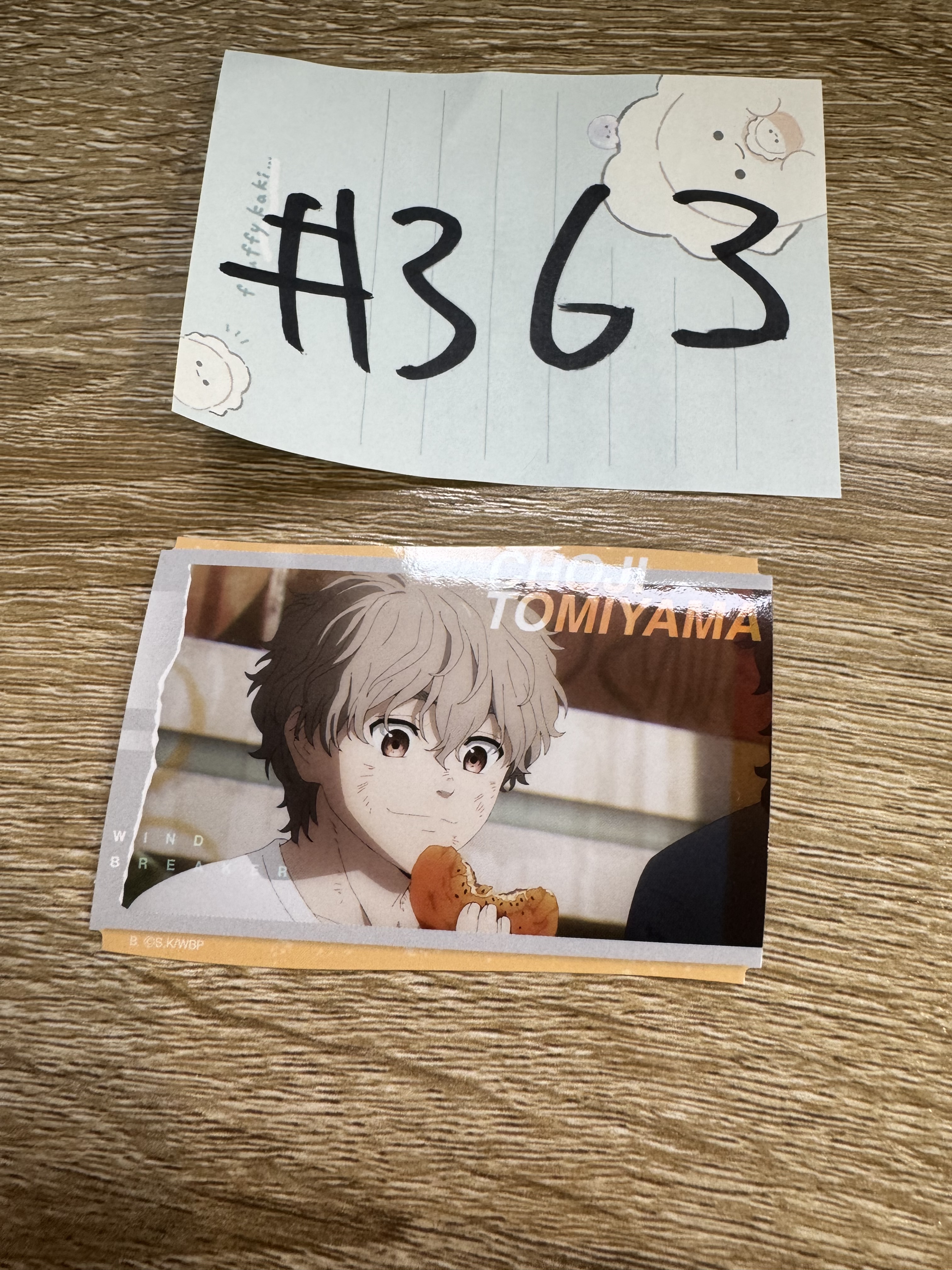 WIND BREAKER 兔耳山 貼紙#363