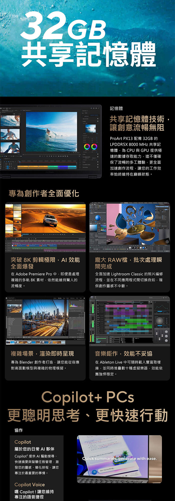 HN7306EA-0033K395共享記憶體