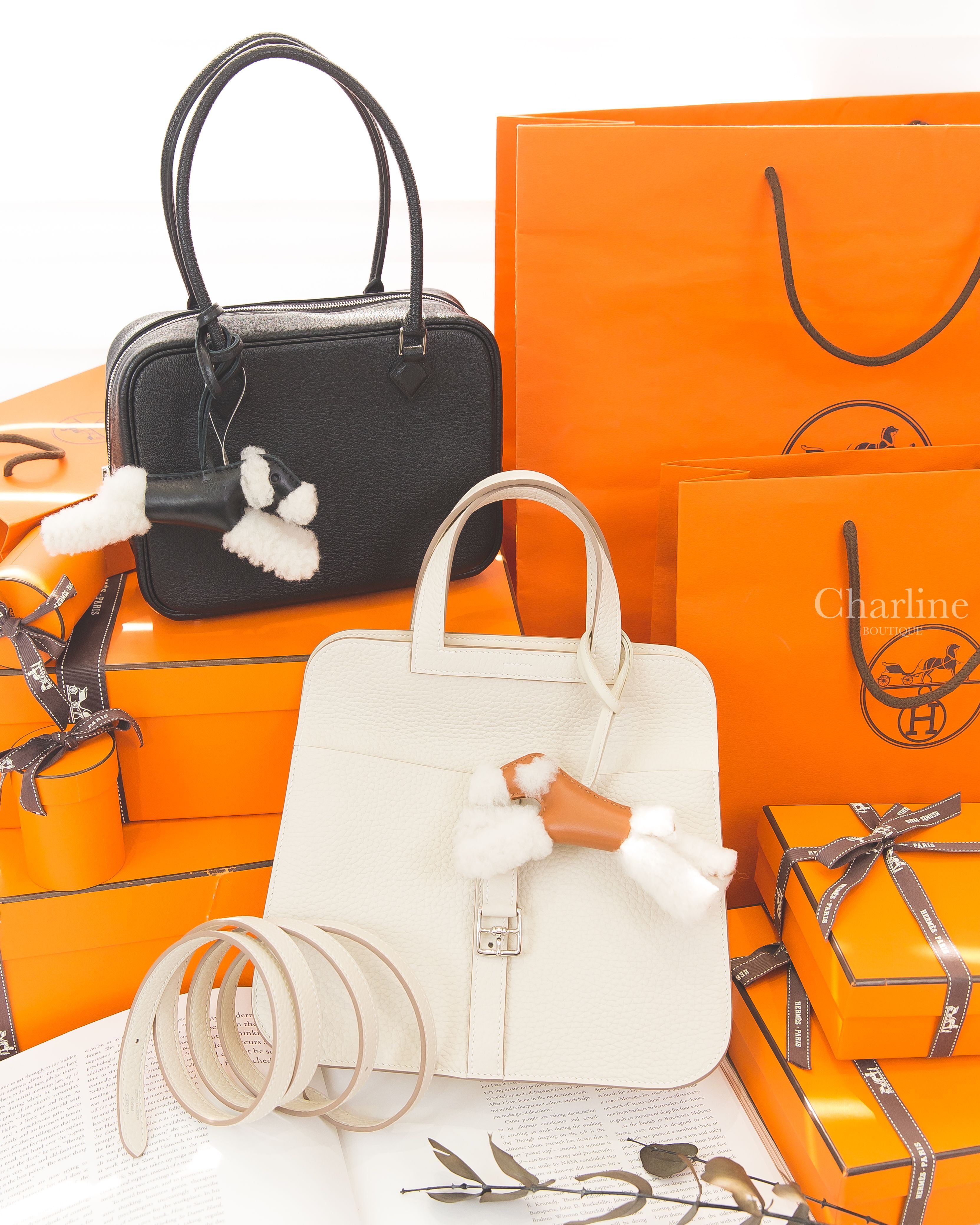 Hermès Plume Mini 黑色銀拉鍊手提包,Hermès Halzan 25cm 奶昔白銀釦,Hermès Budy 焦糖色/奶昔白羊毛獵狐梗犬吊飾,Hermès Budy 黑色羊毛獵狐梗犬吊飾-Charline Boutique 精品代購