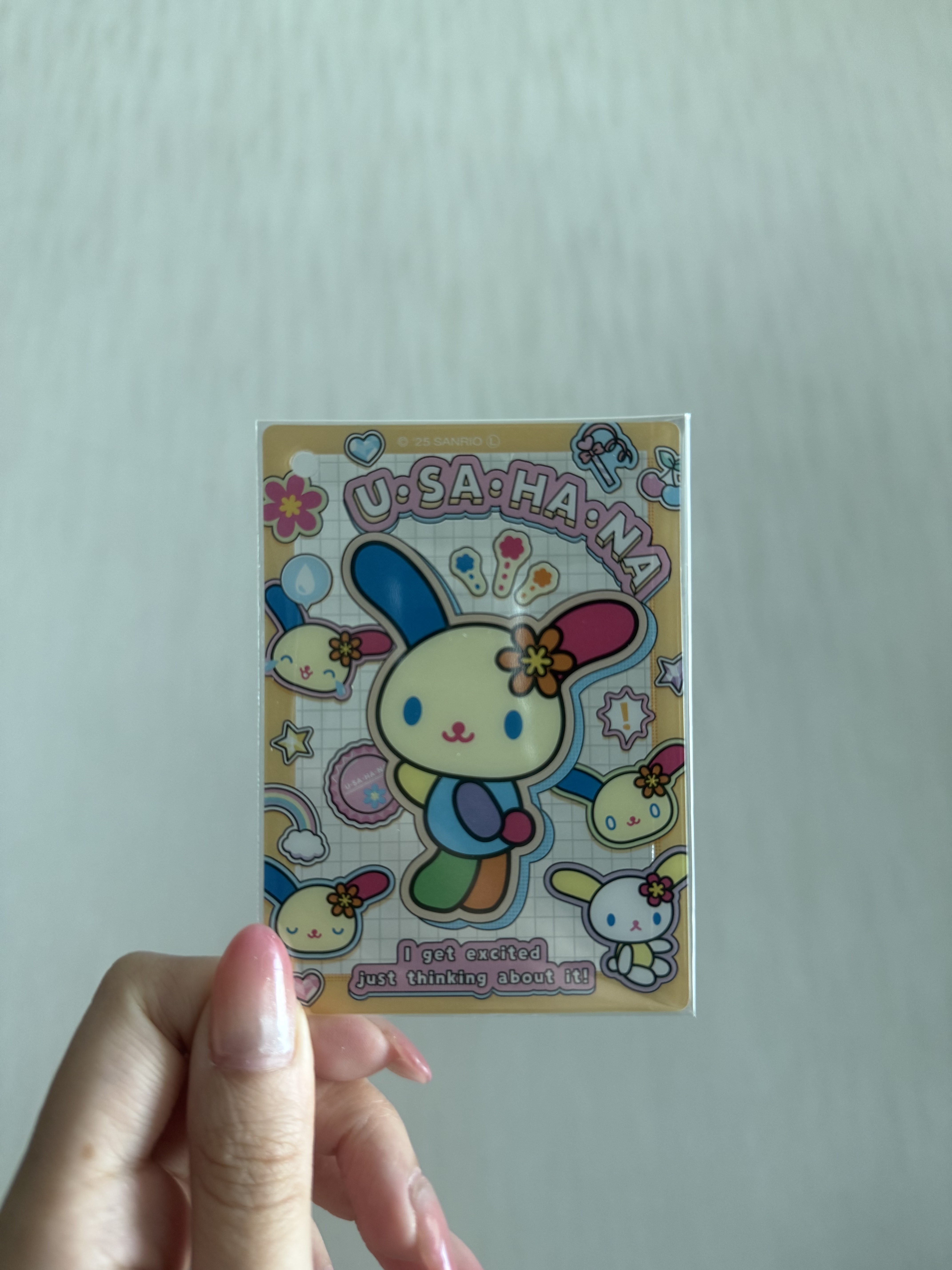 (現貨) sanrio clear card keychain