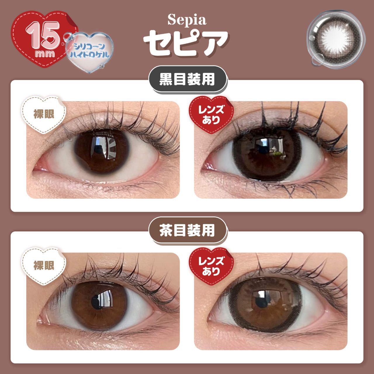 Honey Drops 1 Day (Sepia) (10P)