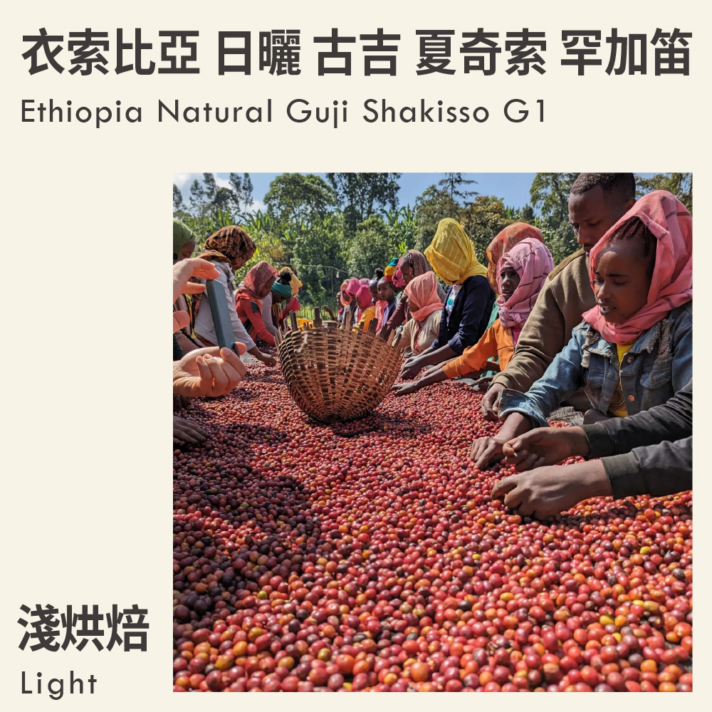 衣索比亞 日曬 古吉 夏奇索 罕加笛 G1