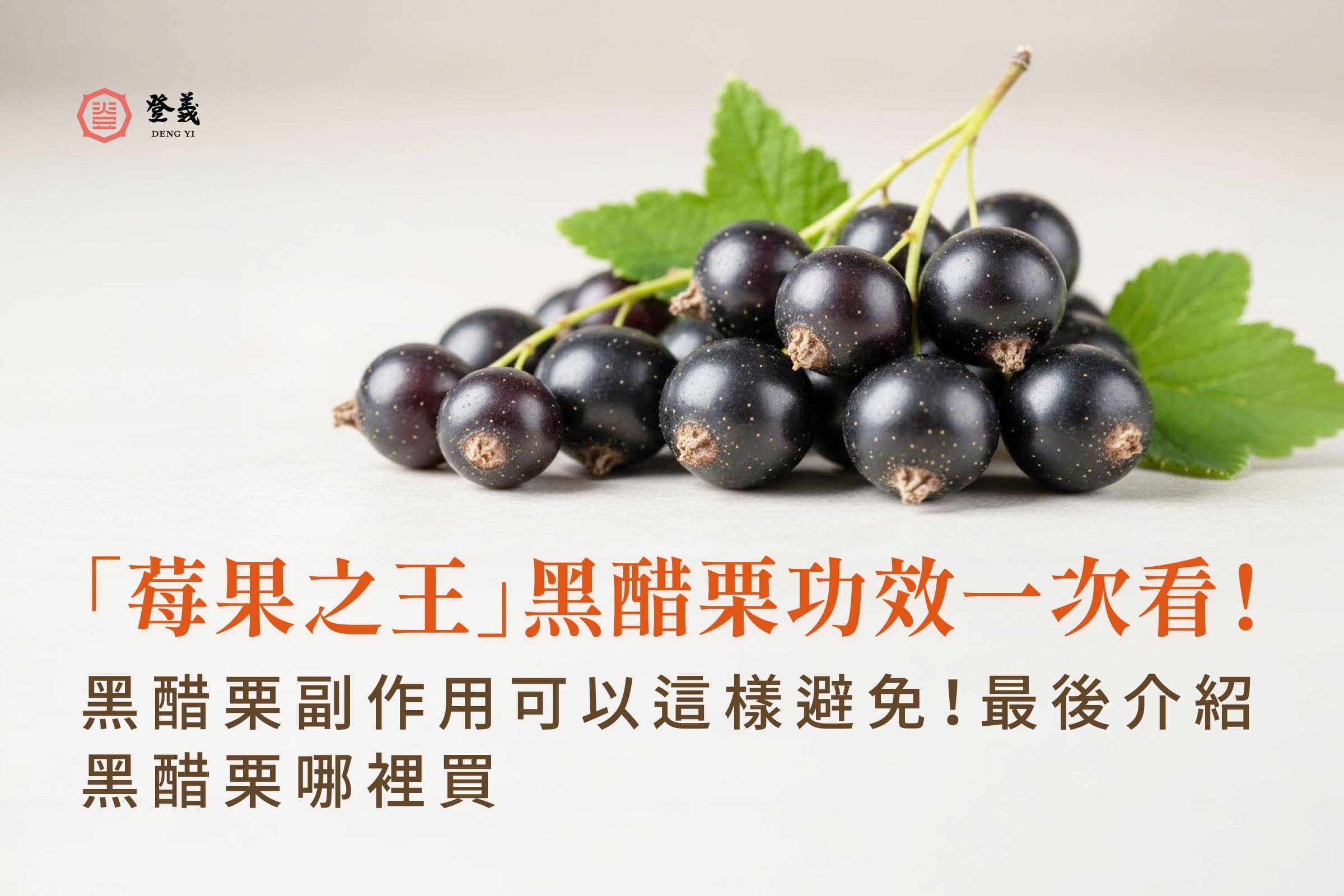 「莓果之王」黑醋栗功效一次看！黑醋栗副作用可以這樣避免！最後介紹黑醋栗哪裡買