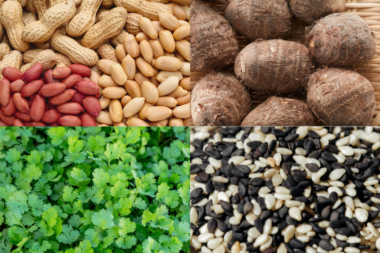 台灣味代表_台灣特色_糖村