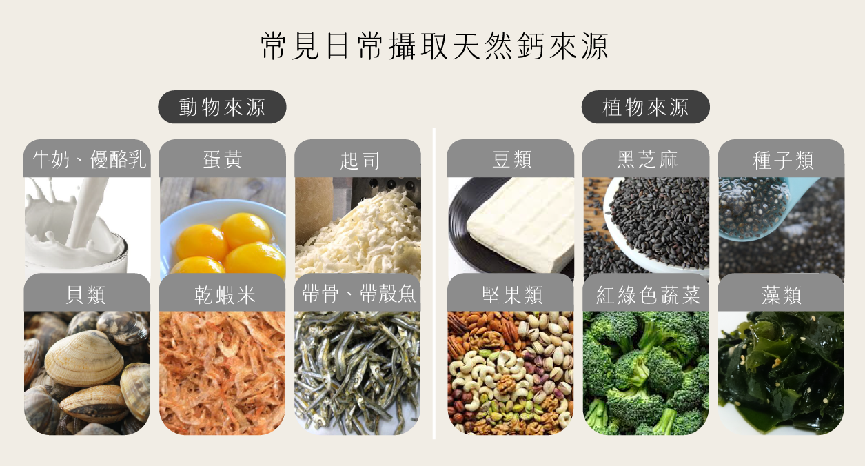 天然的鈣質來源,原型食物補鈣,含鈣的食物