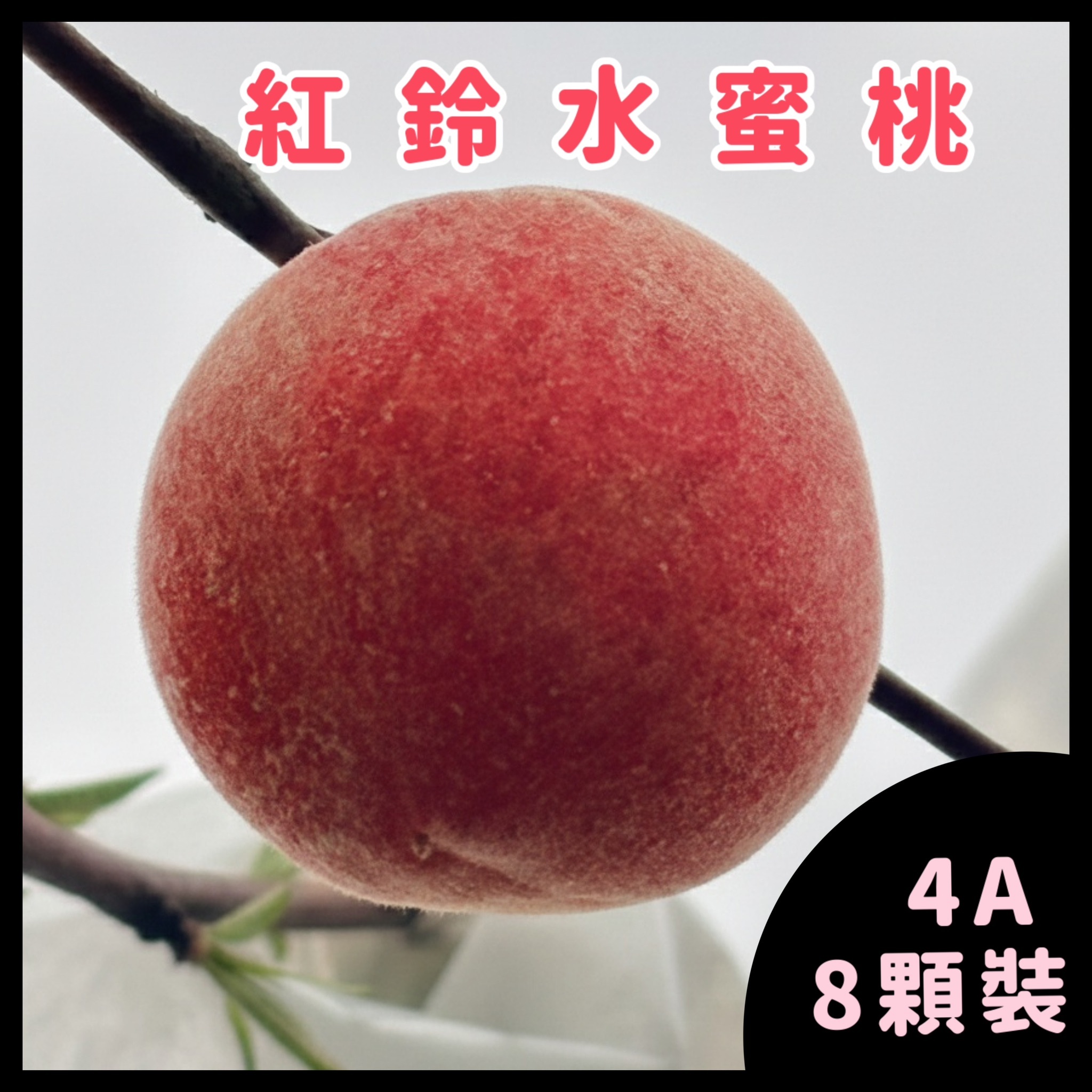 紅鈴水蜜桃 4A 8顆裝
