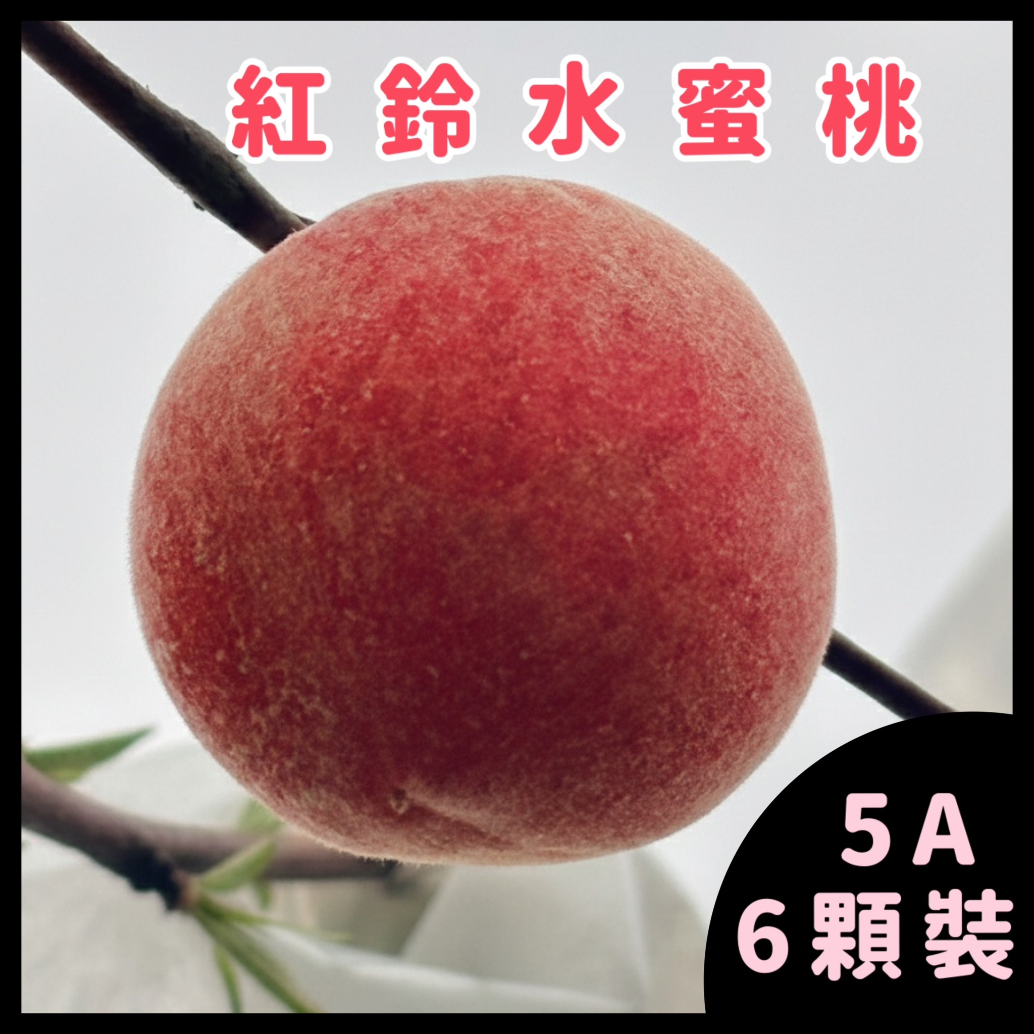 紅鈴水蜜桃 5A 6顆裝