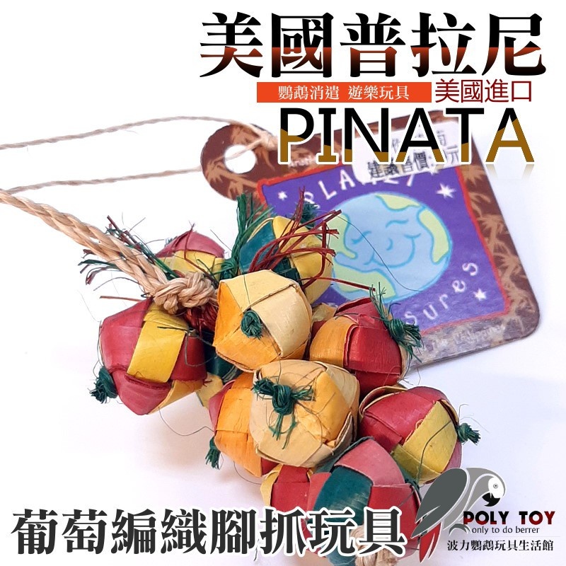 美國進口普拉尼鸚鵡玩具 迷你葡萄 鸚鵡消遣遊樂玩具 益智玩具 鸚鵡啃咬玩具 波力鸚鵡玩具生活館