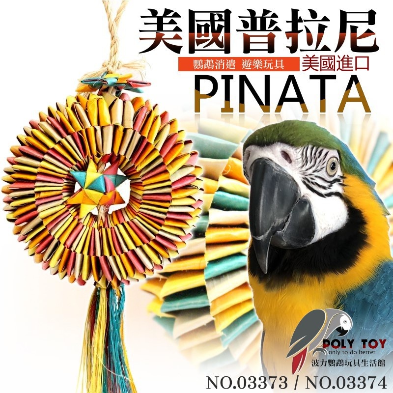 美國進口普拉尼鸚鵡玩具 風火輪系列 鸚鵡消遣遊樂玩具 益智玩具 鸚鵡啃咬玩具 波力鸚鵡玩具生活館