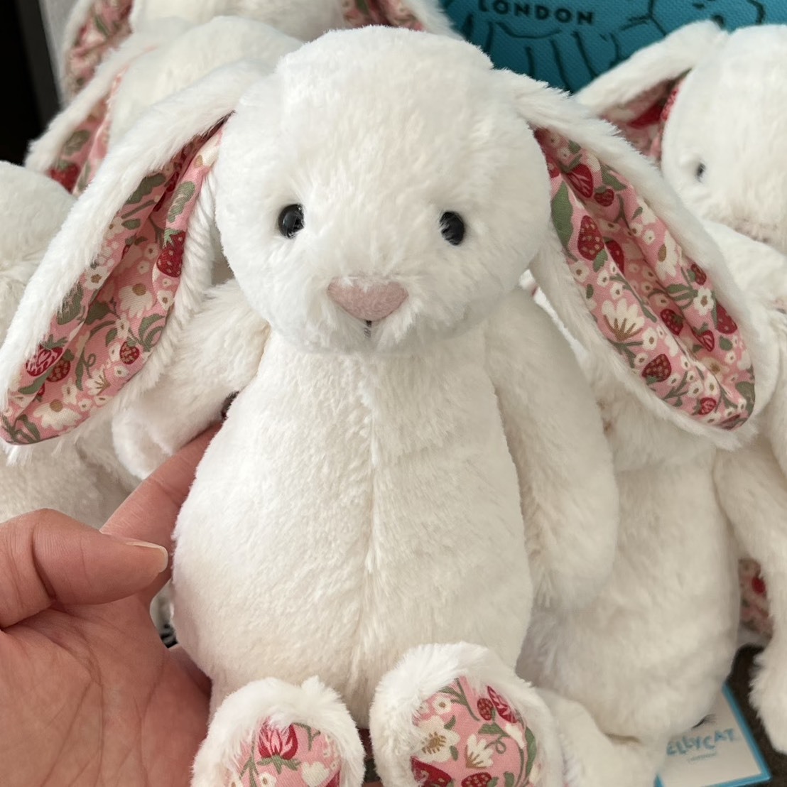 預購 JellyCat 經典碎花兔兔 毛絨玩偶