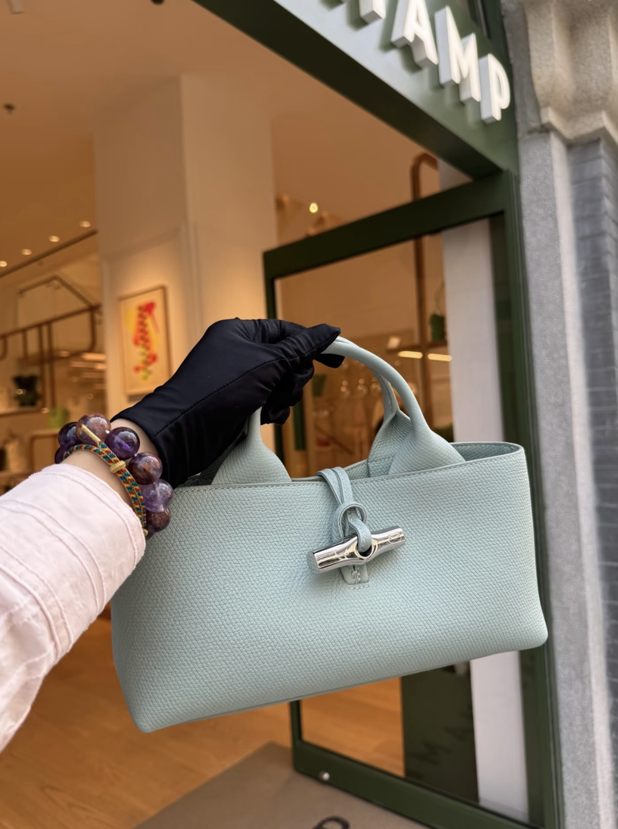 Longchamp Le Roseau S Handbag