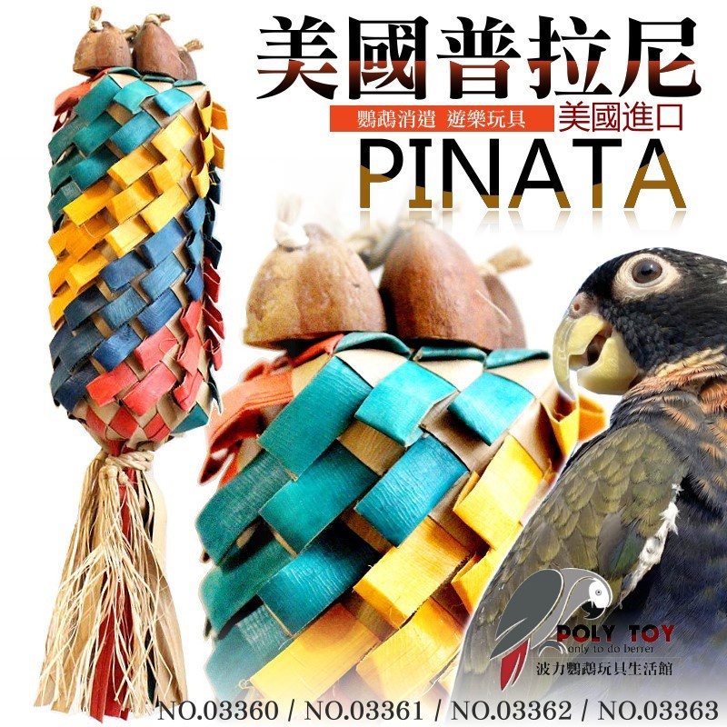 美國進口普拉尼鸚鵡玩具 彩虹系列 鸚鵡消遣遊樂玩具 益智玩具 鸚鵡啃咬玩具 波力鸚鵡玩具生活館