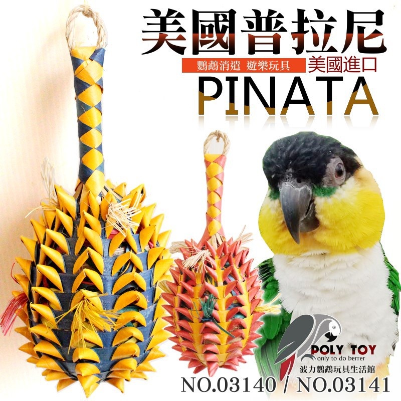 美國進口普拉尼鸚鵡玩具 波蘿 棕梠葉玩具 鸚鵡消遣遊樂玩具 益智玩具 鸚鵡啃咬玩具 波力鸚鵡玩具生活館