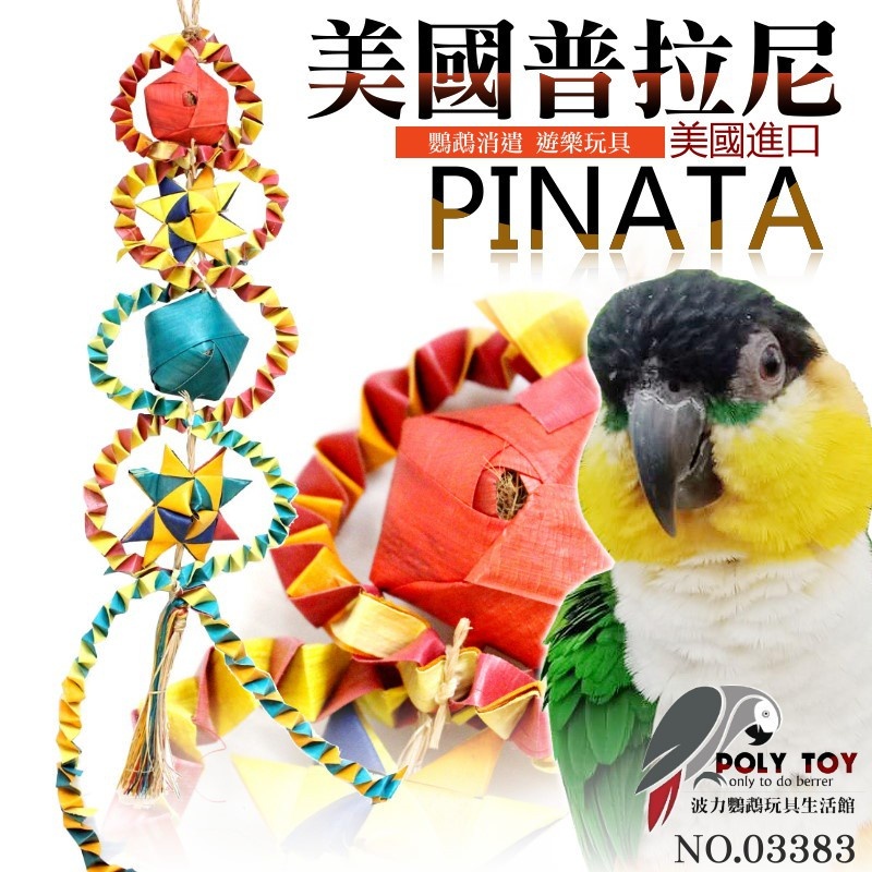 美國進口普拉尼鸚鵡玩具 菲斯塔系列 鸚鵡消遣遊樂玩具 益智玩具 鸚鵡啃咬玩具 波力鸚鵡玩具生活館