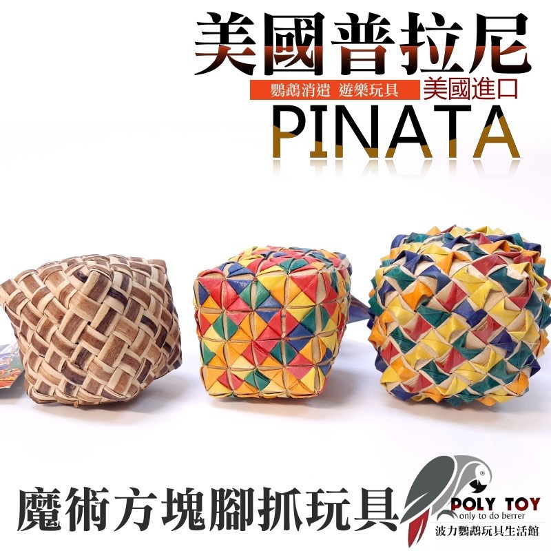 美國進口普拉尼鸚鵡玩具 (大)魔術方塊腳抓玩具 益智玩具 鸚鵡啃咬玩具 波力鸚鵡玩具生活館