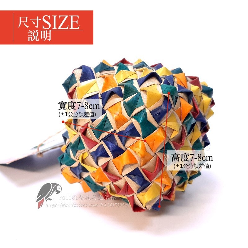 美國進口普拉尼鸚鵡玩具 (大)魔術方塊腳抓玩具 益智玩具 鸚鵡啃咬玩具 波力鸚鵡玩具生活館