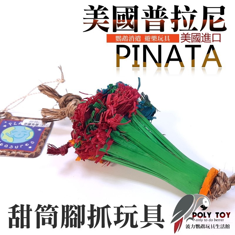 美國進口普拉尼鸚鵡玩具 甜筒 鸚鵡消遣遊樂玩具 益智玩具 鸚鵡啃咬玩具 波力鸚鵡玩具生活館