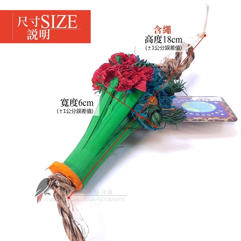 美國進口普拉尼鸚鵡玩具 甜筒 鸚鵡消遣遊樂玩具 益智玩具 鸚鵡啃咬玩具 波力鸚鵡玩具生活館