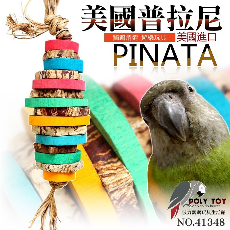 美國進口普拉尼鸚鵡玩具 繽紛拼盤系列 鸚鵡消遣遊樂玩具 益智玩具 鸚鵡啃咬玩具 波力鸚鵡玩具生活館