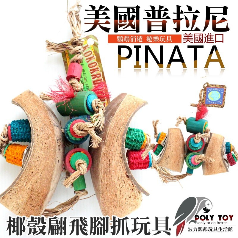 美國進口普拉尼鸚鵡玩具 椰殼翩飛 鸚鵡消遣遊樂玩具 益智玩具 鸚鵡啃咬玩具 波力鸚鵡玩具生活館