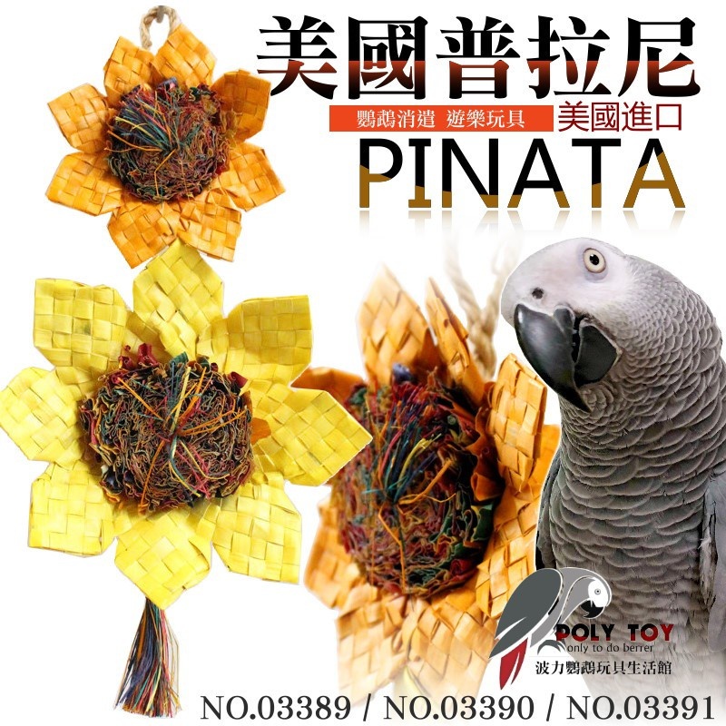 美國進口普拉尼鸚鵡玩具 太陽花系列 鸚鵡消遣遊樂玩具 益智玩具 鸚鵡啃咬玩具 波力鸚鵡玩具生活館