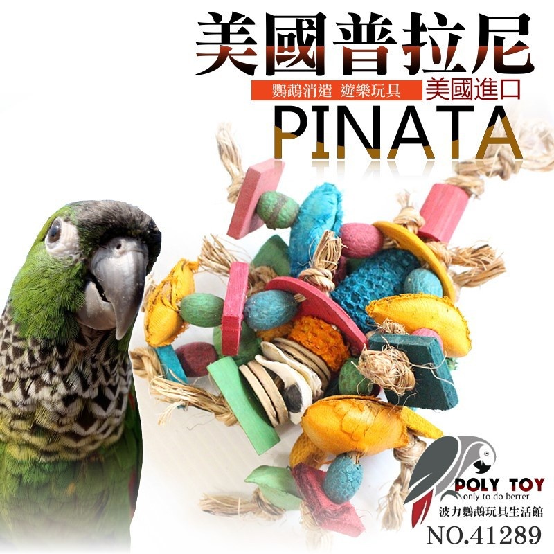 美國進口普拉尼鸚鵡玩具 種子軍團 鸚鵡消遣遊樂玩具 益智玩具 鸚鵡啃咬玩具 波力鸚鵡玩具生活館