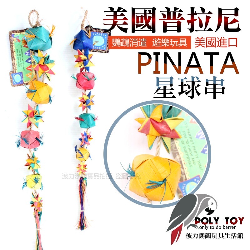 美國進口普拉尼鸚鵡玩具 星球串 鸚鵡消遣遊樂玩具 益智玩具 鸚鵡啃咬玩具 波力鸚鵡玩具生活館