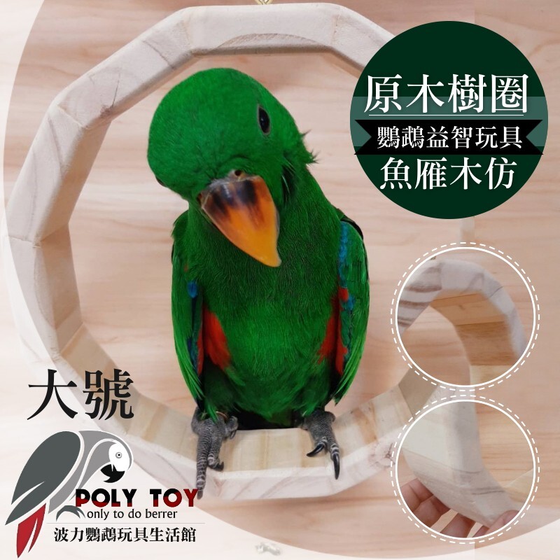 大號 原木樹圈 魚雁木坊 松木玩具 松木啃咬玩具 鸚鵡玩具 益智玩具 鸚鵡啃咬玩具 波力鸚鵡玩具生活館