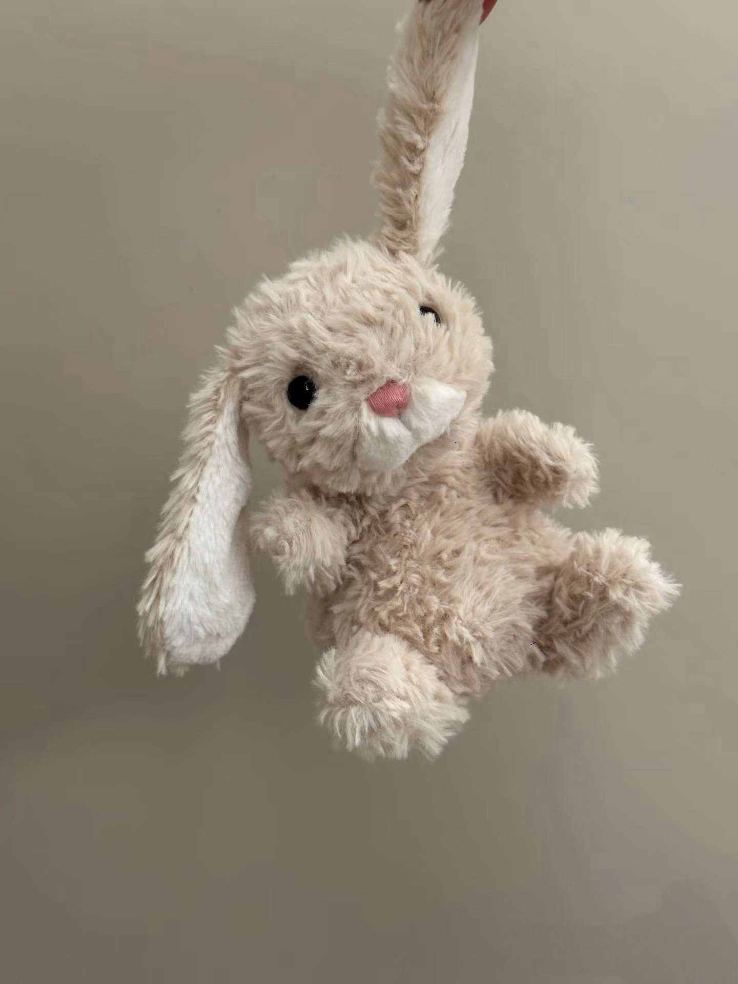 預購JellyCat yummy短腿兔系列🐰