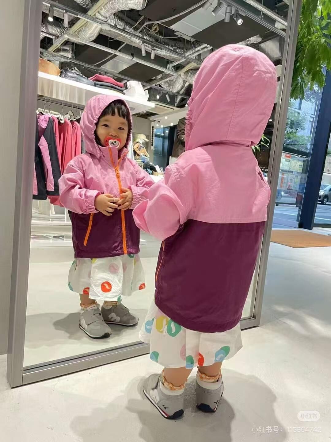 廠單 tnf 26ss春季彩色限定系列