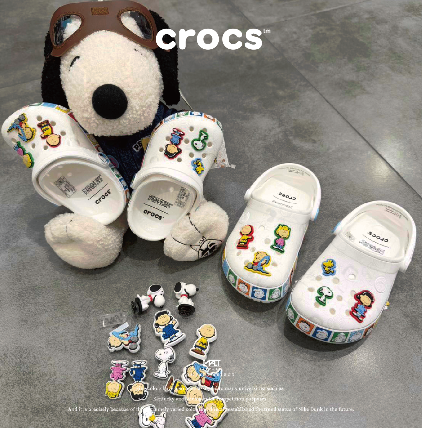 Crocs CLOG Unisex Peanuts 史奴比聯名款 漫畫風 洞洞鞋 21211590H