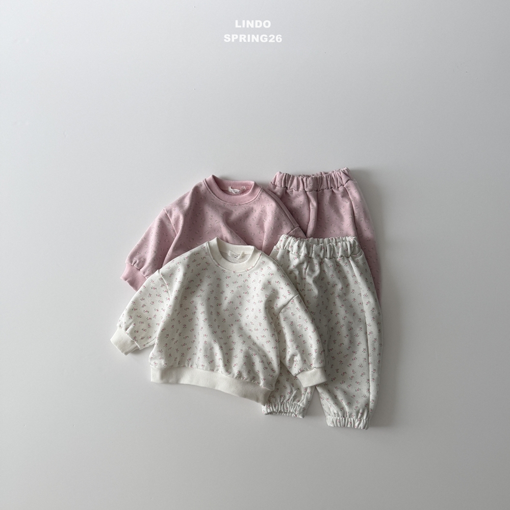 正韓春LINDO 春季碎花縮口褲套裝