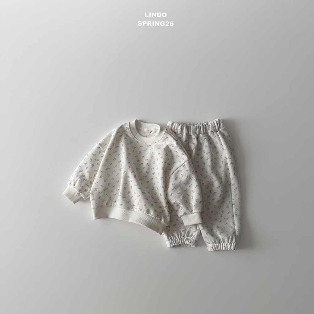 正韓春LINDO 春季碎花縮口褲套裝