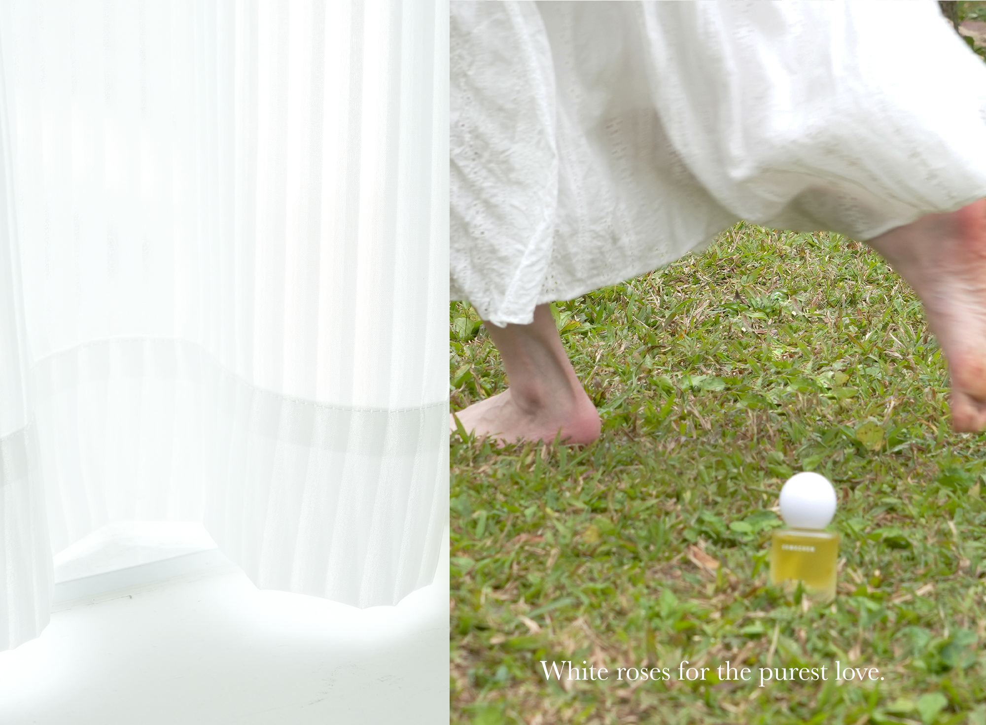 白玫瑰香氛情境