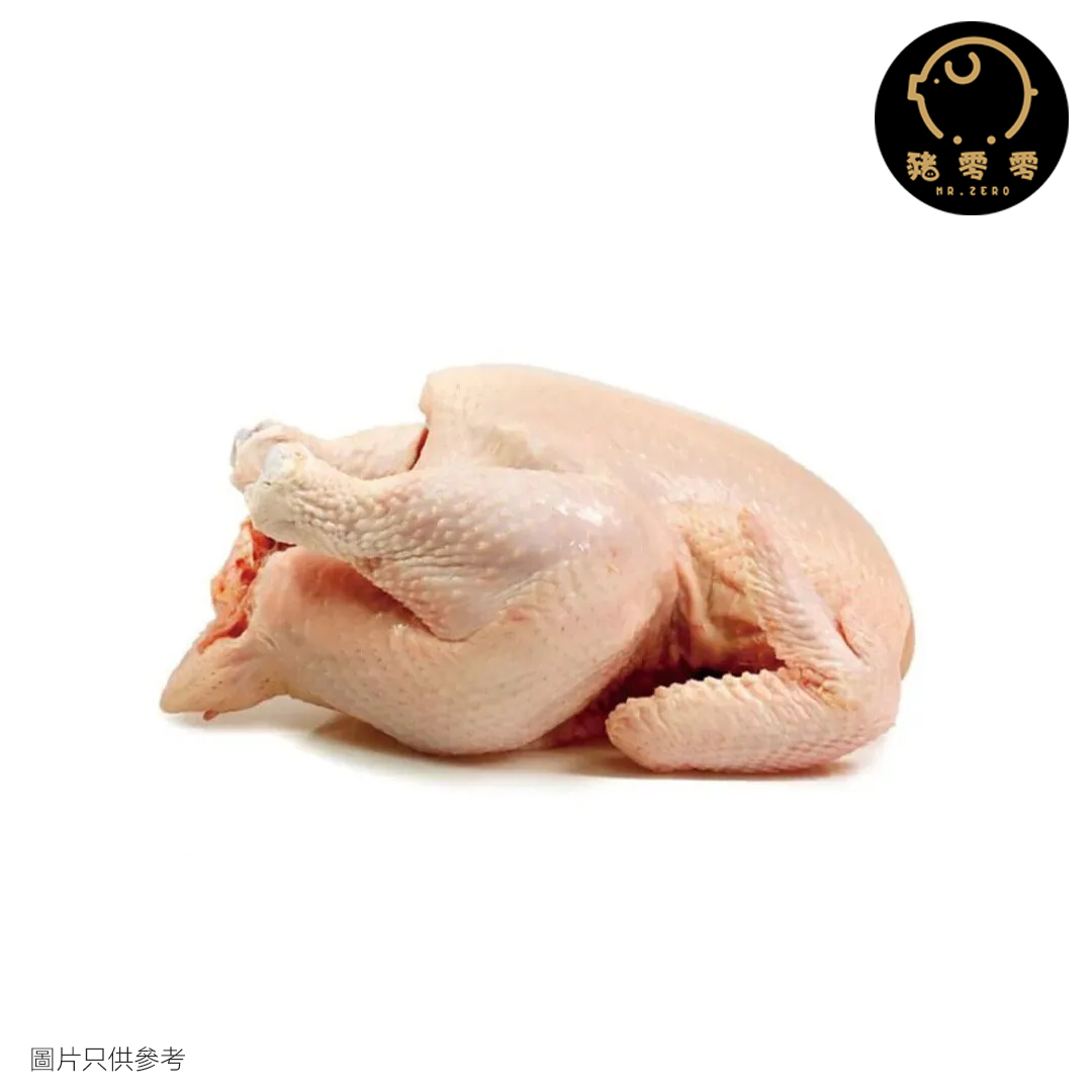冰鮮雞 1.8千克 一隻雞 整隻雞