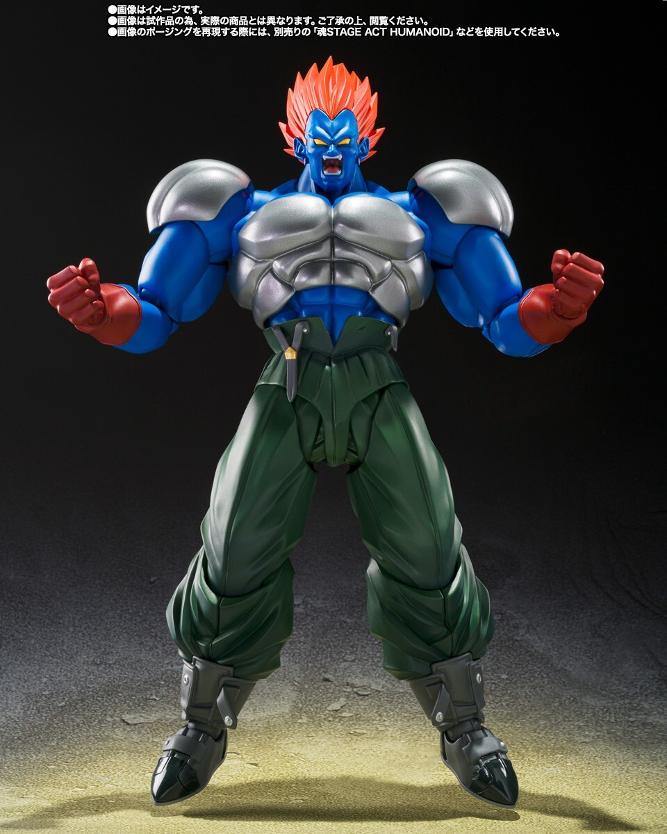 [預訂] TAMASHII NATIONS [魂SHOP限定] [SHF] 《龍珠Z》 合體13號