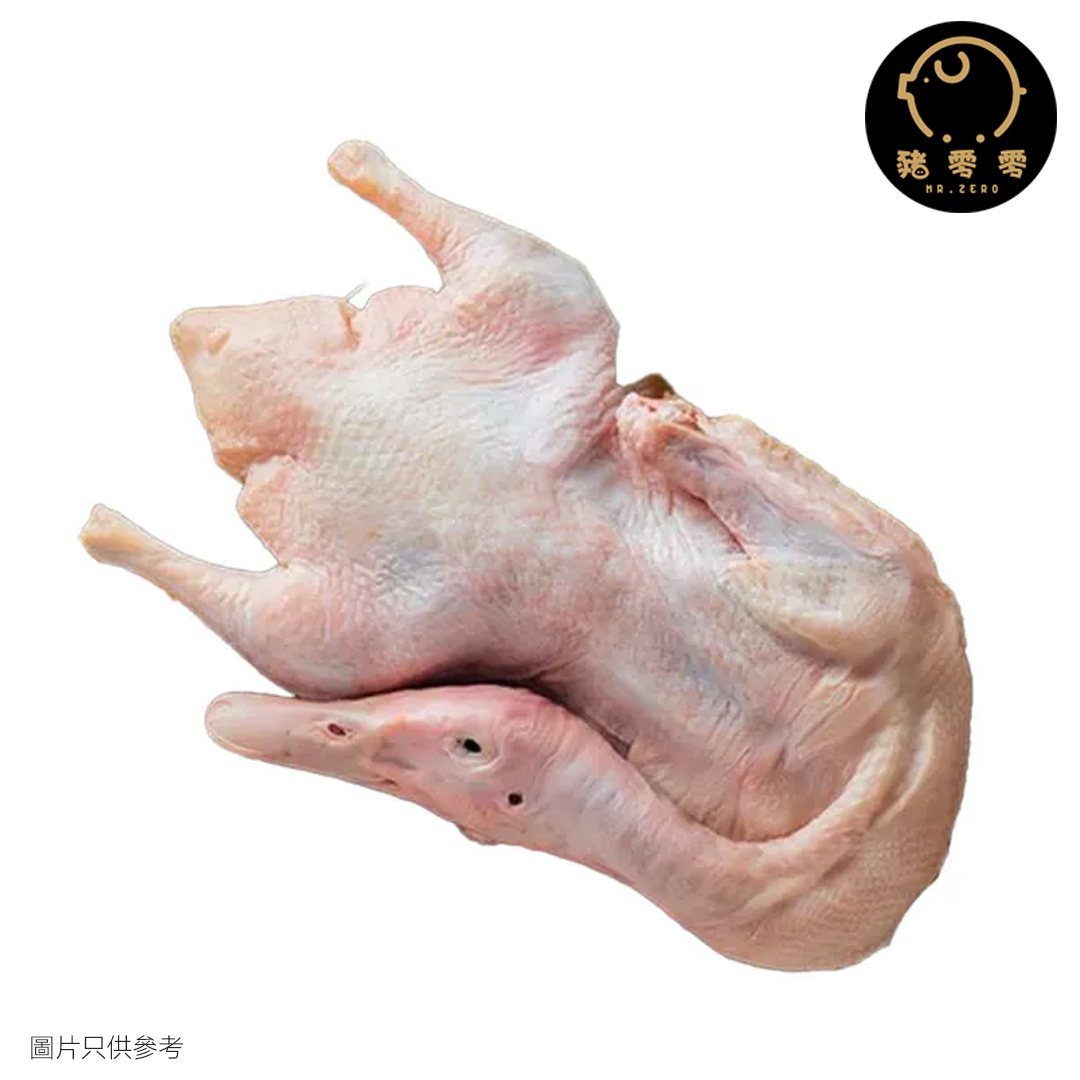 米鴨 1.5kg  整隻鴨 一隻鴨
