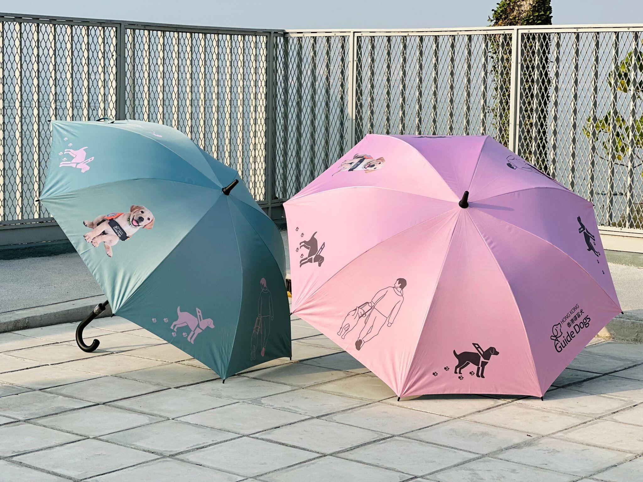 香港導盲犬長雨傘