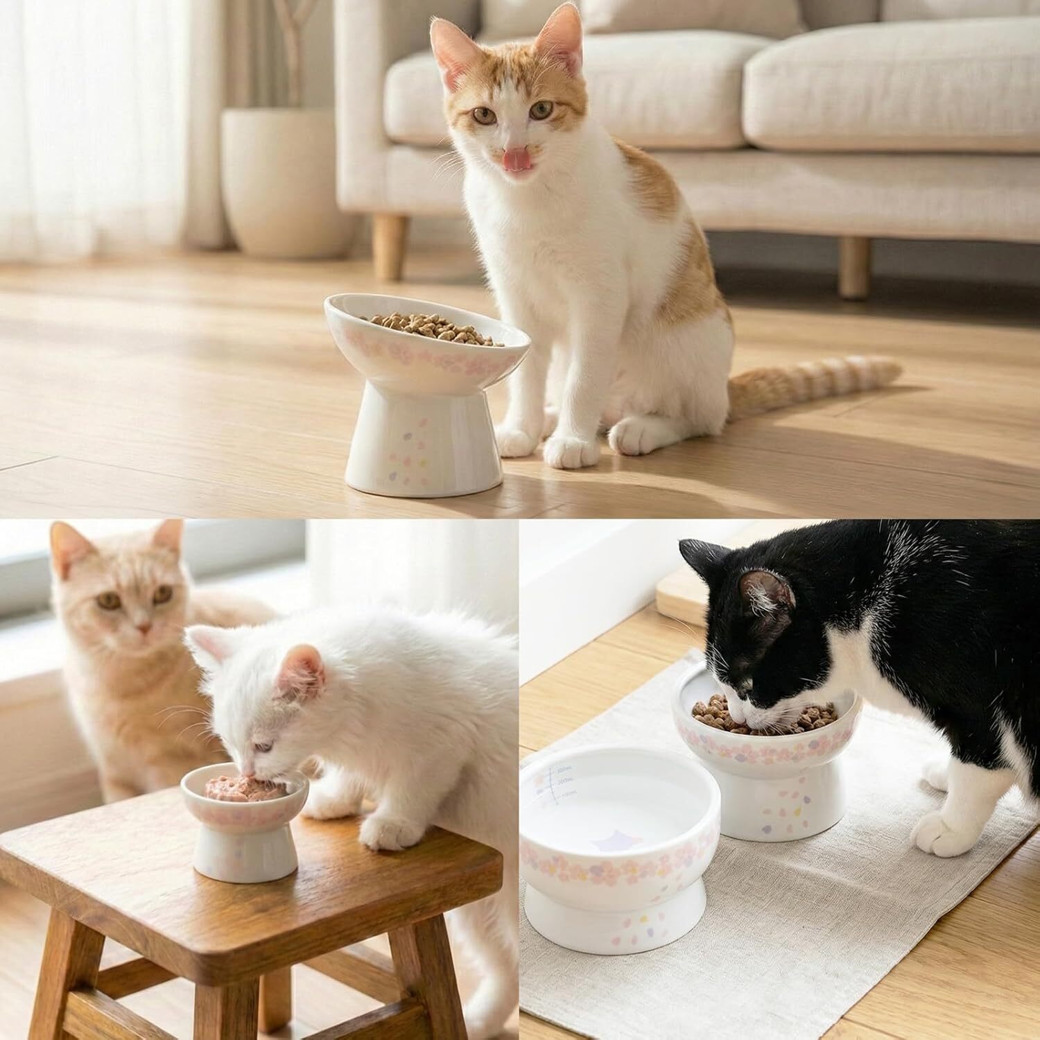 Necoichi 2026櫻花碗