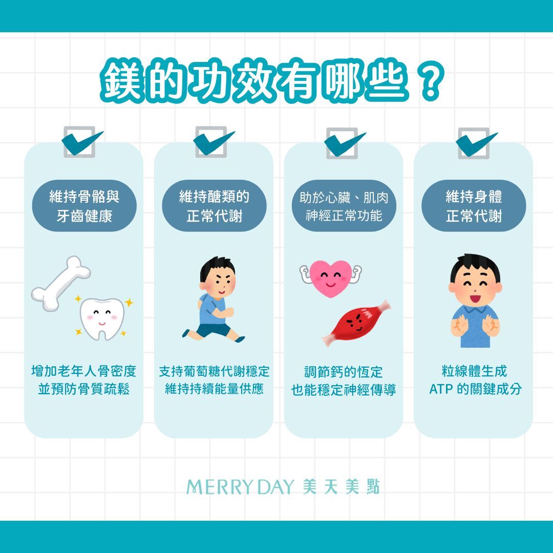 ✅維持骨骼與牙齒健康  鎂是骨基質合成所需的酵素輔因子，幫助骨骼正常發育與功能(2)。研究顯示，足夠的鎂有助於增加老年人骨密度，並預防骨質疏鬆(3)。    ✅維持醣類的正常代謝  鎂參與多種與能量代謝相關的酵素反應，支持葡萄糖代謝穩定，維持持續能量供應。    ✅有助於心臟、肌肉及神經的正常功能  鎂有助於調節鈣的恆定，維持心臟與肌肉正常收縮，也能穩定神經傳導，有助於放鬆與舒緩。    ✅維持身體正常代謝  鎂是粒線體生成 ATP 的關鍵成分，能提供身體主要能量來源
