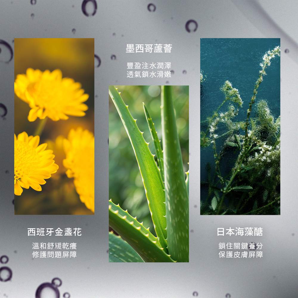 三種自然植萃成份並列圖示。包含左側的西班牙金盞花(溫和舒緩乾癢)、中間的墨西哥蘆薈(豐盈注水鎖水)、右側的日本海藻糖(保護皮膚屏障)。背景為清透的水滴紋理,呈現保濕感。