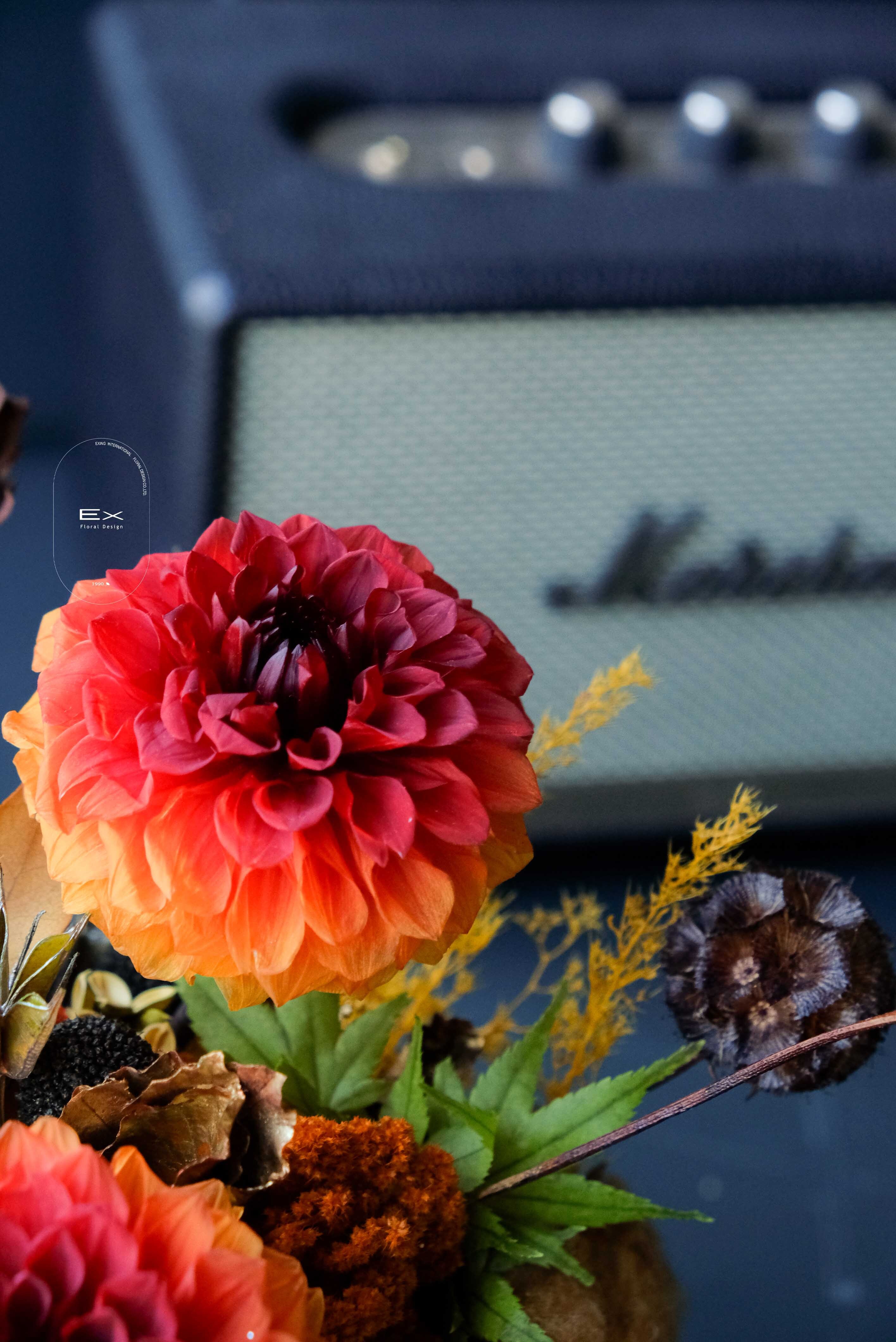 不凋花 永生花 Preserved Flower X