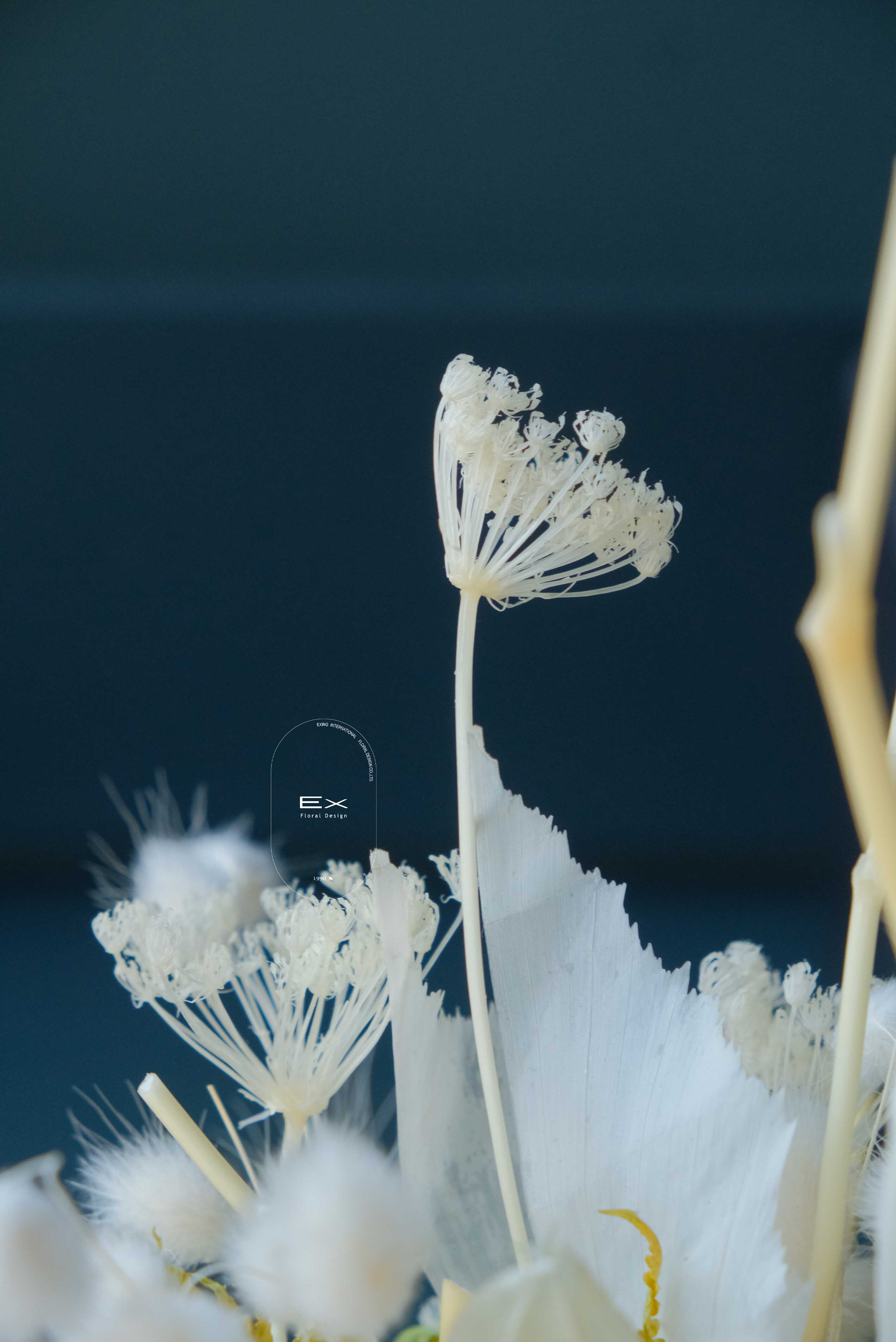 不凋花 永生花 Preserved Flower XI