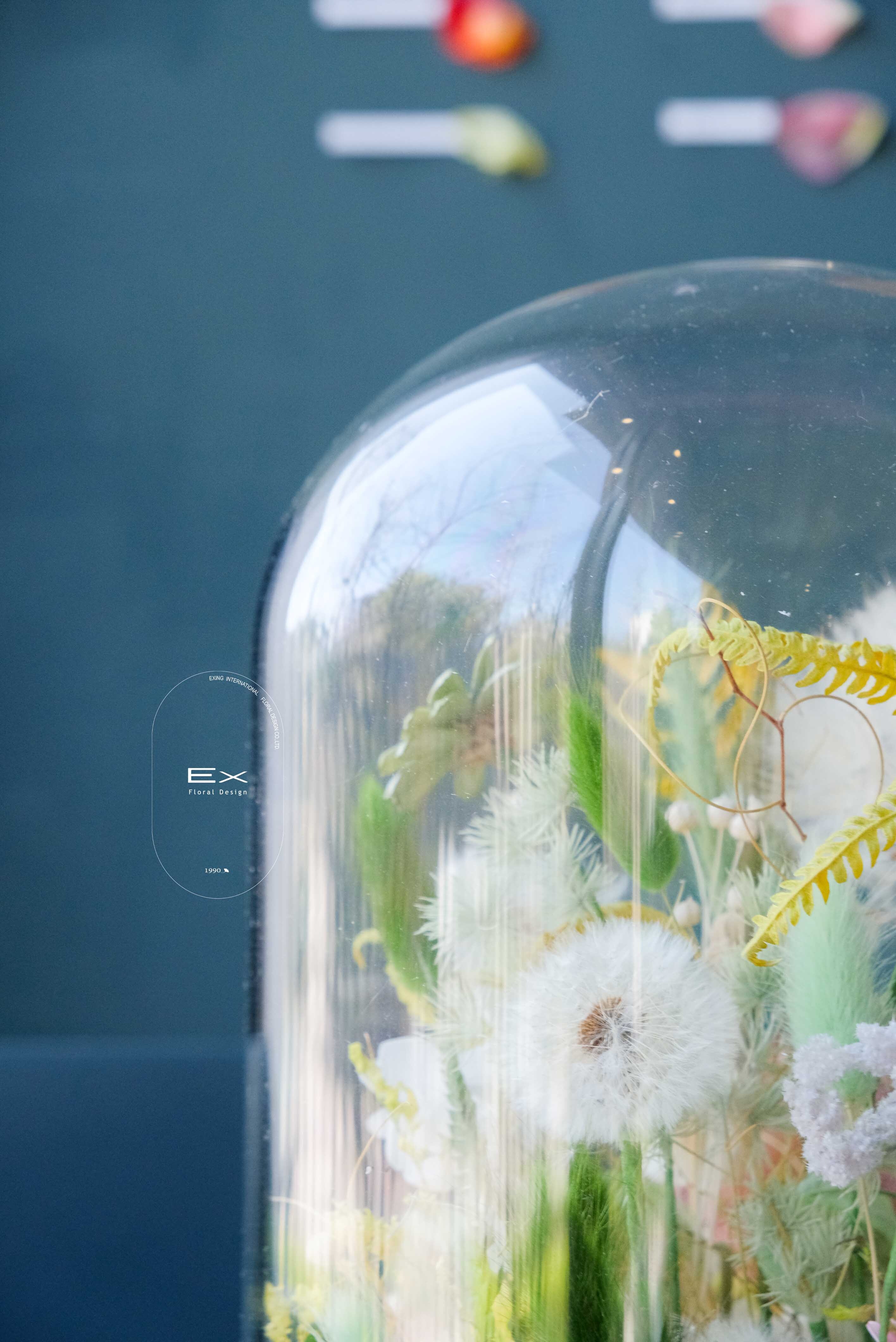 不凋花 永生花 Preserved Flower XII