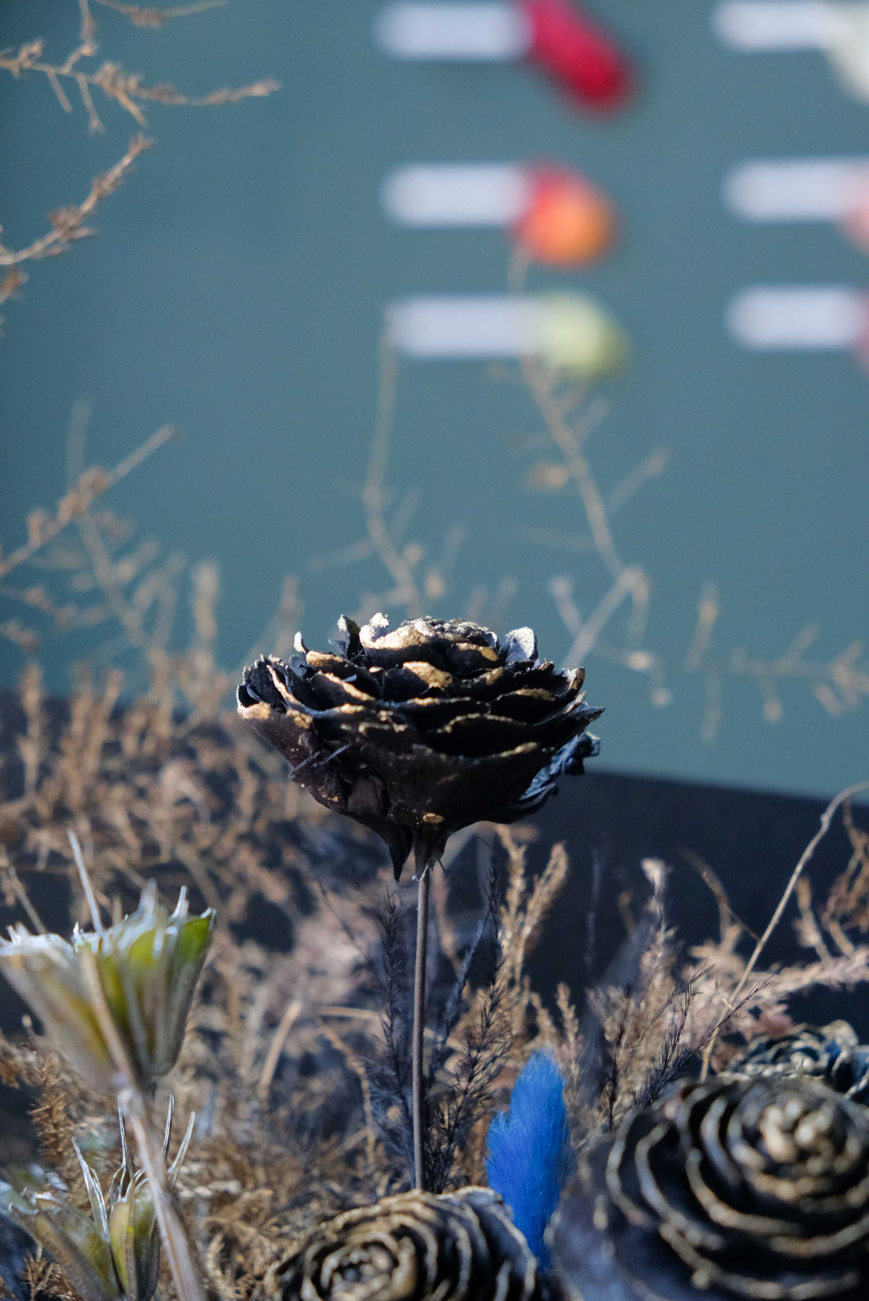 不凋花 永生花 Preserved Flower XIV