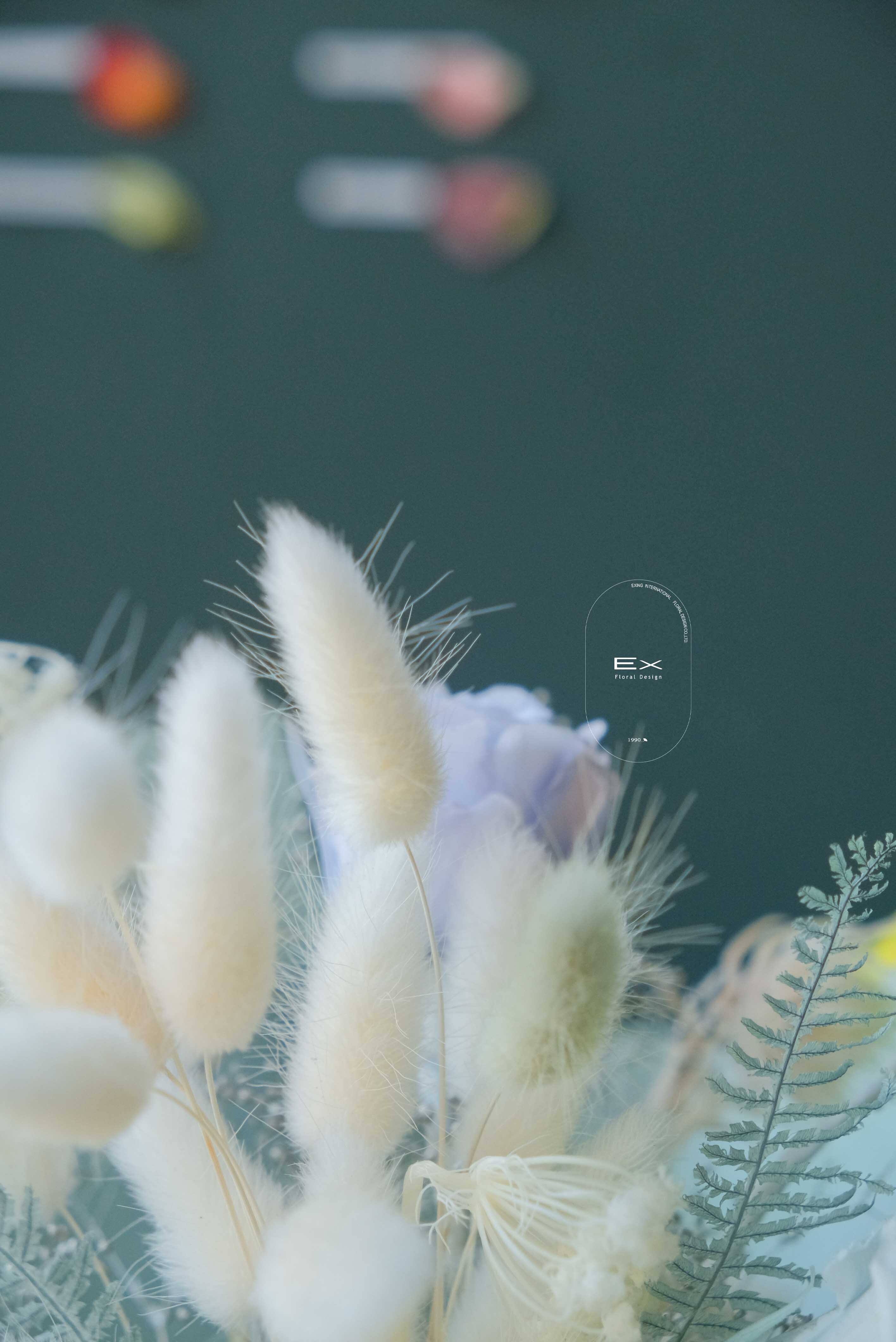 不凋花 永生花 Preserved Flower  XVIII