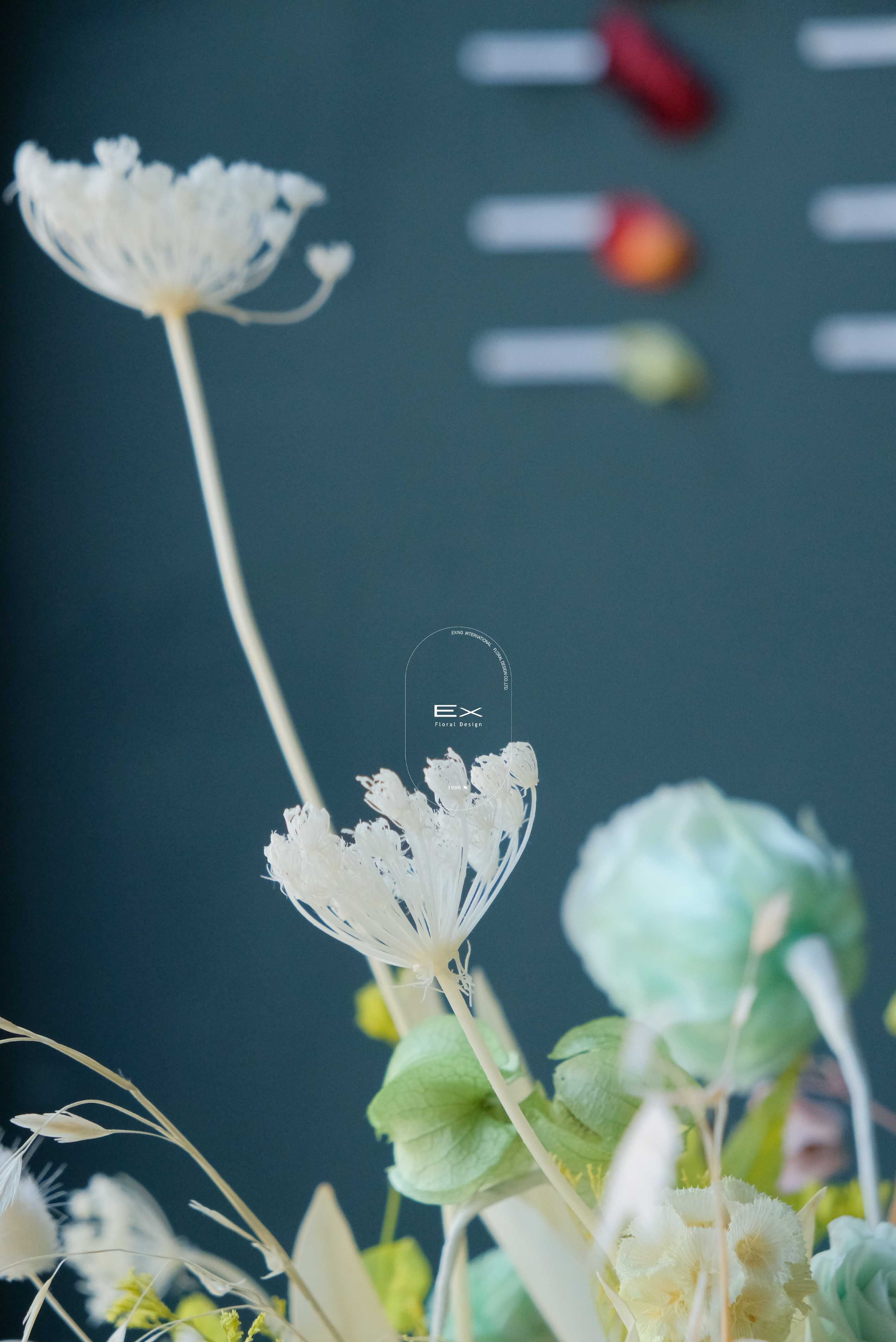 不凋花 永生花 Preserved Flower XL